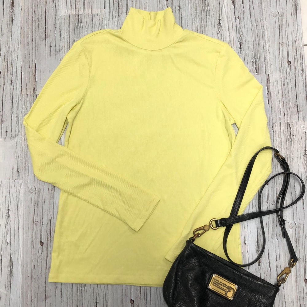 Frank & Oak Long Sleeved Turtleneck